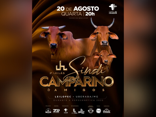 2° Leilão Sindi Camparino & Amigos