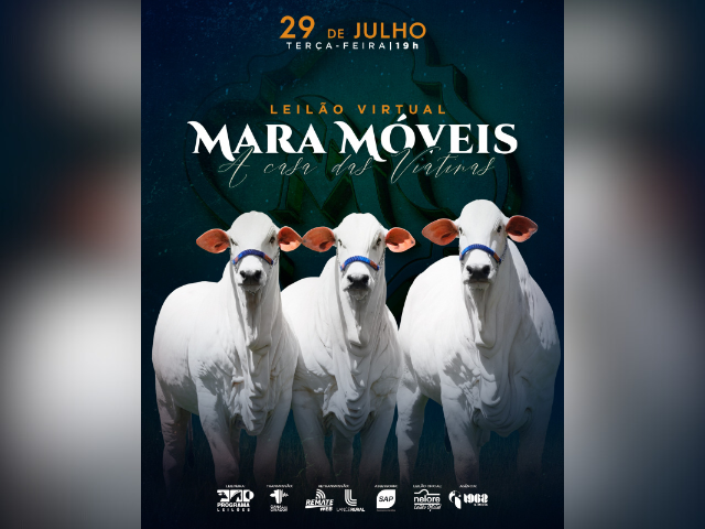 Leilão Virtual Mara Móveis – A Casa das Viatinas