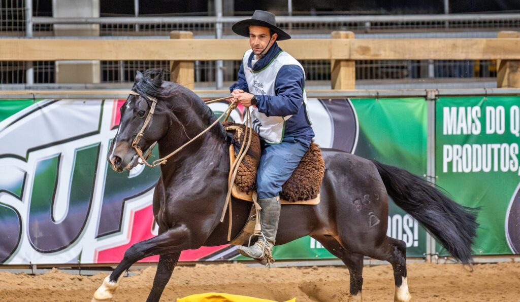 Final histórica do Freio de Ouro promete emoção na Expointer 2025